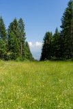 2025.06.19-Camp-Les-Rasses-0033