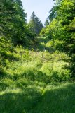 2025.06.19-Camp-Les-Rasses-0035