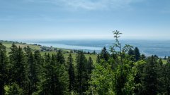 2025.06.19-Camp-Les-Rasses-0194