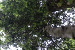 2025.06.19-Camp-Les-Rasses-0941