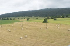 2025.06.19-Camp-Les-Rasses-1181